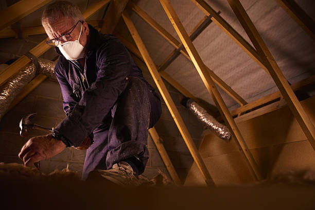 Best Residential Insulation in Winnsboro, SC